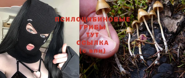 амф Армянск