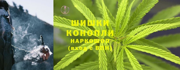 соль ск Арсеньев