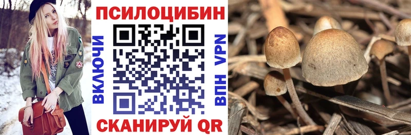 OMG tor  Чапаевск  Галлюциногенные грибы ЛСД 